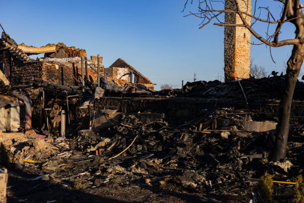 Reliable Emergency Fire Damage Restoration contractor in Zimmerman, MN by Fire Damage Flint
